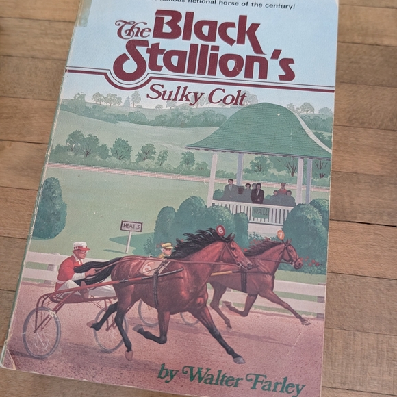The Black Stallion Book Collection - Picture 13 of 14